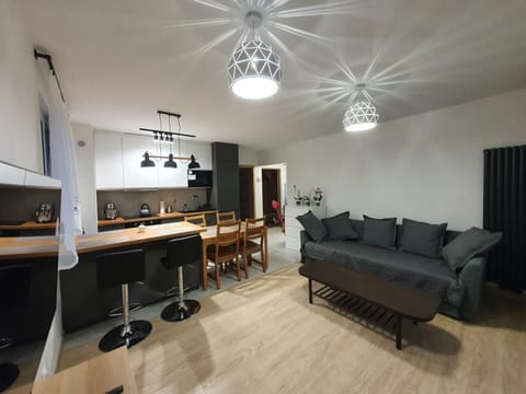 Kitchen or kitchenette, Living room, Seating area, Dining area