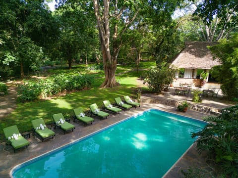 Garden, Pool view, Swimming pool, Swimming pool, sunbed
