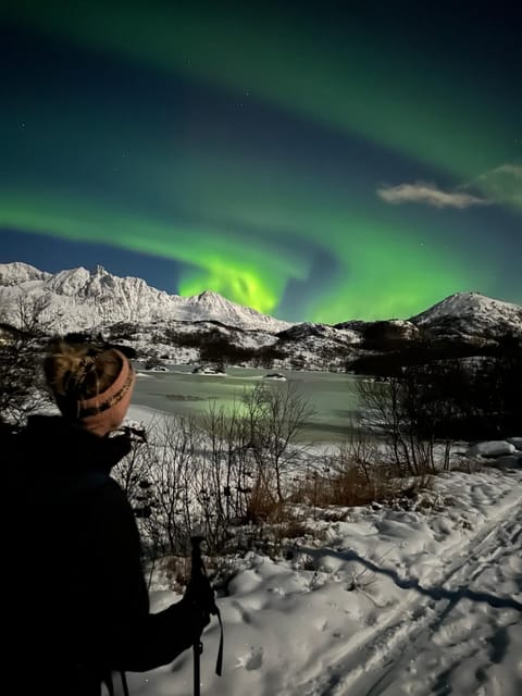 Jaw dropping New Penthouse apt in Svolvær Apartment in Lofoten