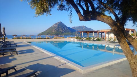 Swimming pool, Swimming pool