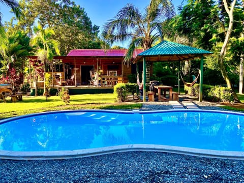 Facade/entrance, Day, Garden, Garden, Pool view, Swimming pool, Swimming pool, sunbed
