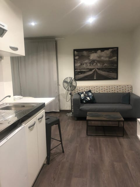 Grand studio Apartment in Annecy