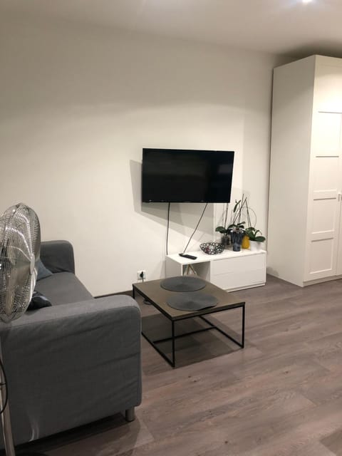 Grand studio Apartment in Annecy