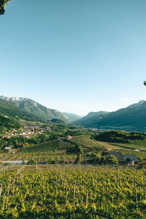 Nearby landmark, Spring, Day, Natural landscape, City view, Mountain view