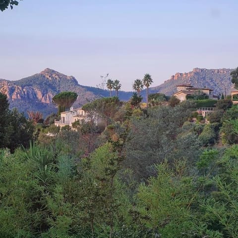 Villa Bella Mimosa - SPA privatif House in Mandelieu-La Napoule