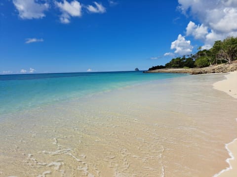 Natural landscape, Beach