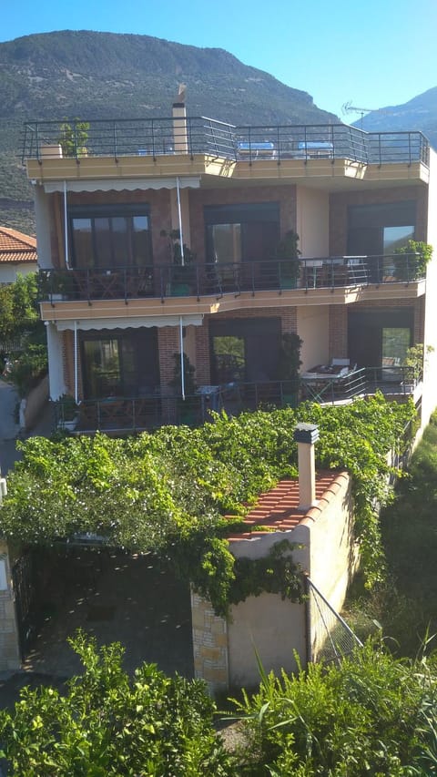 Property building, Bird's eye view