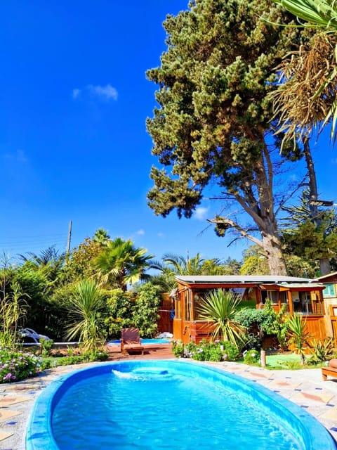 Day, Pool view, Swimming pool
