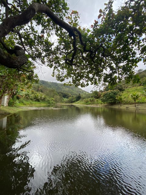 Natural landscape, Lake view