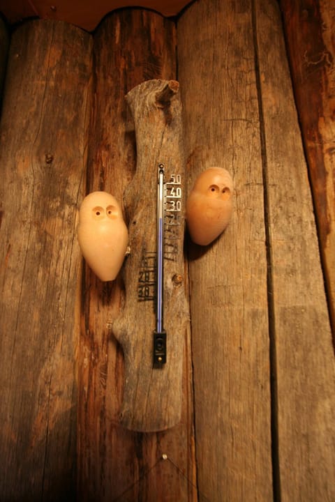 Log House Siesta Chalet in Rovaniemi