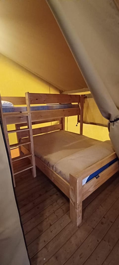 Bed, Photo of the whole room, Bedroom, bunk bed