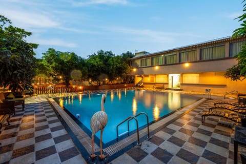 Pool view, Swimming pool