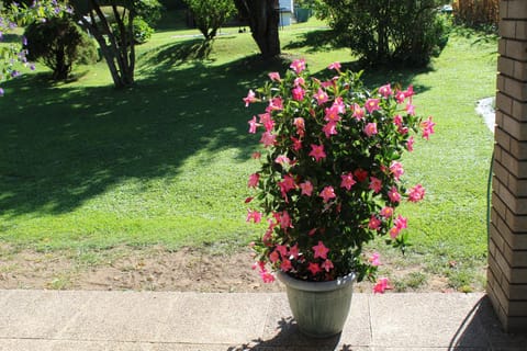 Ferienwohnung Annemarie Apartment in Carinthia, Austria