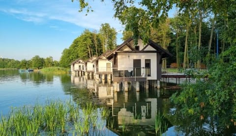 Natural landscape, Lake view