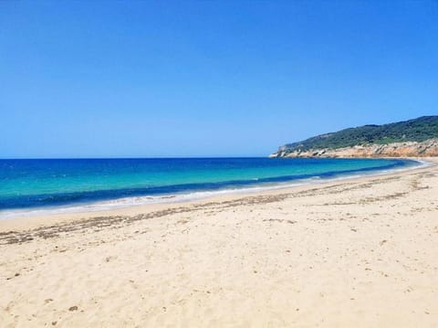 Nearby landmark, Beach