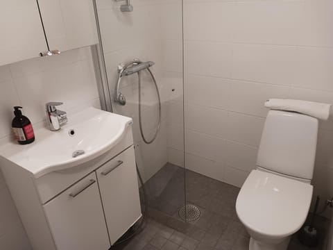 Studio Pohjola Apartment in Rovaniemi