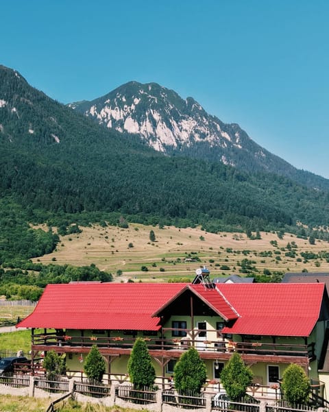 Property building, Natural landscape