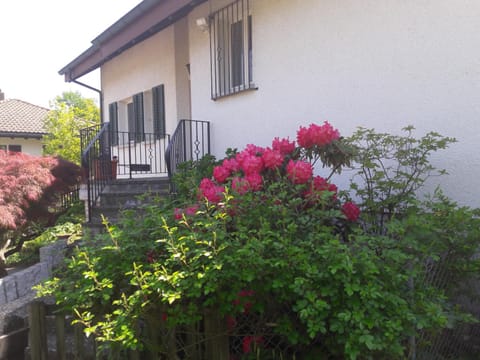 Gästehaus Sonnenhof Inn in Canton of Zurich