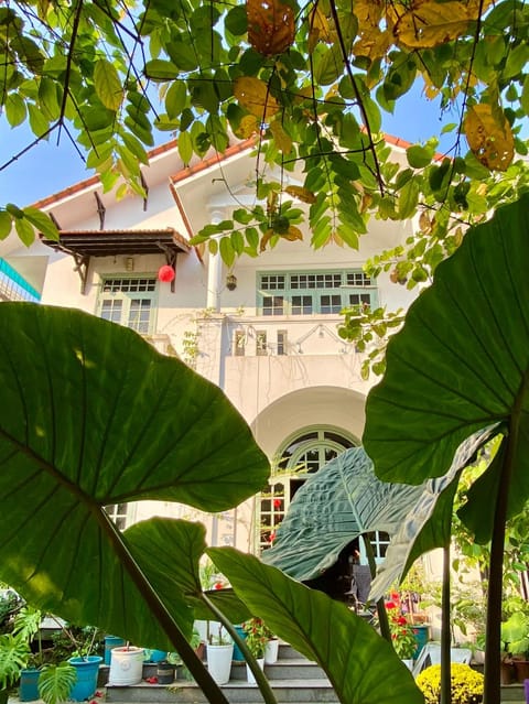 Property building, Spring, Day, Garden