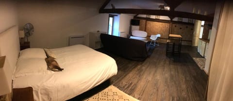 Bed, Photo of the whole room