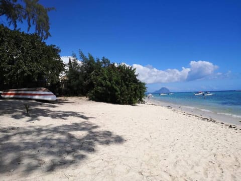 Nearby landmark, Beach
