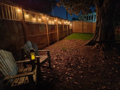 Night, Garden, Garden view