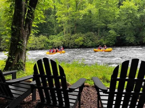 Natural landscape, Summer, River view