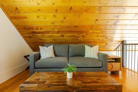 Nantahala River Luxury Escape-on the river! Apartment in Nantahala