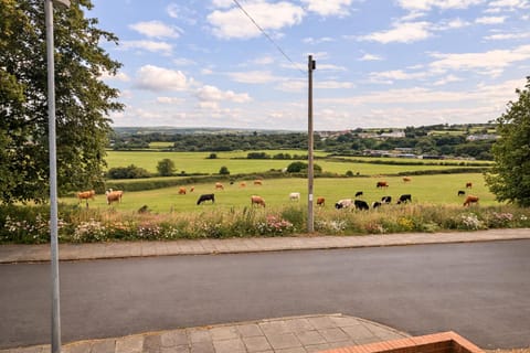 Day, Natural landscape, Garden view