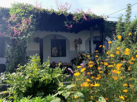 Property building, Garden, Garden view