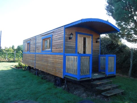 Property building, Garden, Garden view