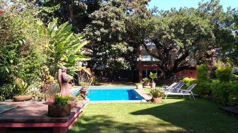 Garden, Swimming pool