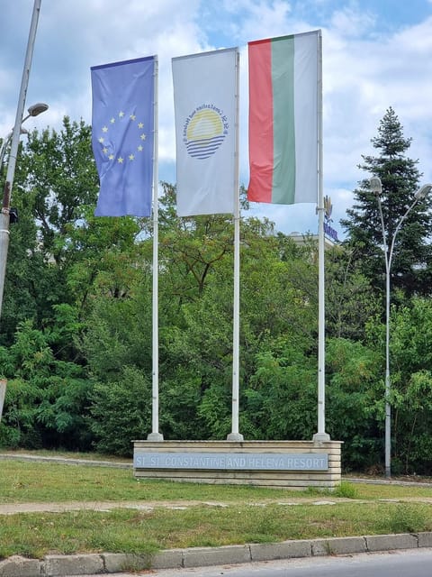 Day, Natural landscape, Garden