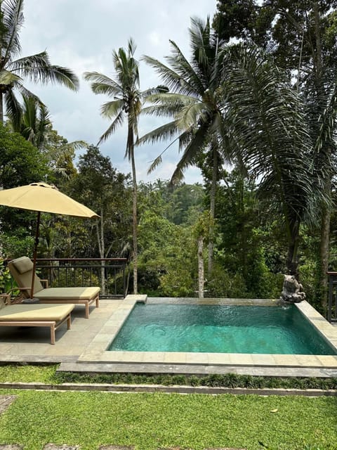 Natural landscape, Swimming pool, sunbed
