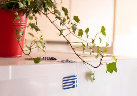 Kitchen or kitchenette, Decorative detail