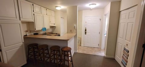 1st Floor Mountain View Suite Ski On Off At Jiminy- Fully Redone Decor Apartment in Lanesborough