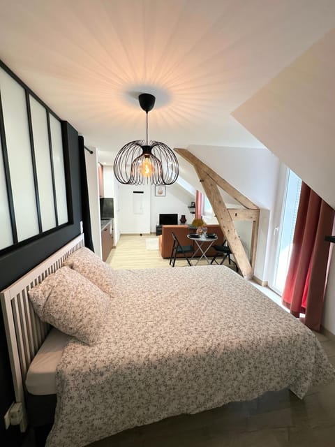 Sacré appartement/Jardin/Parking/Wifi Apartment in Auvergne-Rhône-Alpes