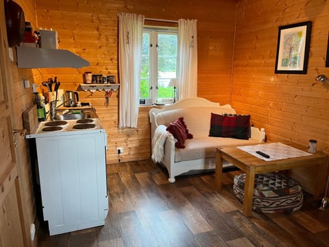 Kitchen or kitchenette, Living room, Seating area