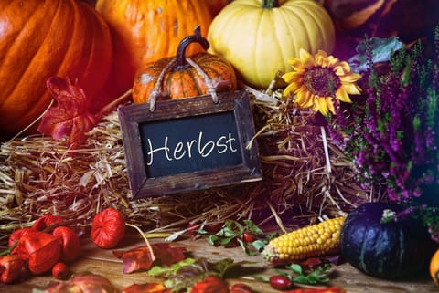 Patio, Balcony/Terrace, Autumn