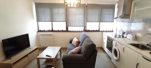 TV and multimedia, Coffee/tea facilities, Kitchen or kitchenette, Living room, Dining area, minibar, pet friendly, stove, toaster, washing machine