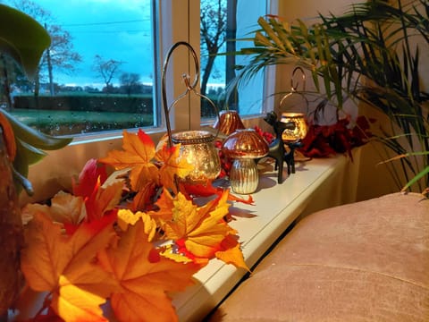 B&B Den Bruynen Bergh Bed and Breakfast in Flanders