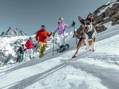 Activities, Winter, Skiing, Hiking