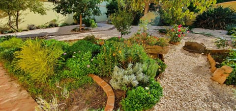 Garden, Garden, Garden view