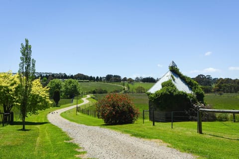 Natural landscape