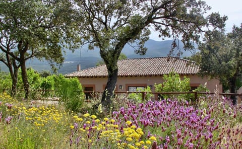 Spring, View (from property/room)