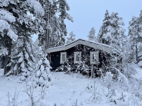 Property building, Winter