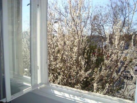 Riki Accommodation Hostel in Split