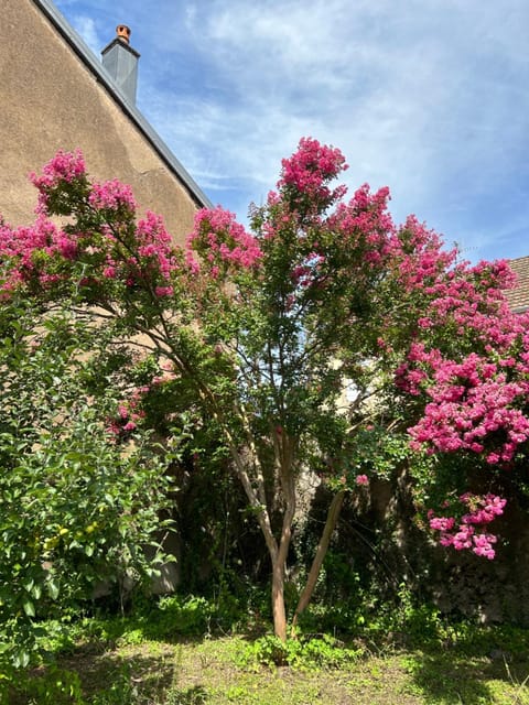 Le Rosier Apartment in Switzerland
