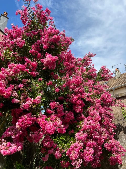 Le Rosier Apartment in Switzerland