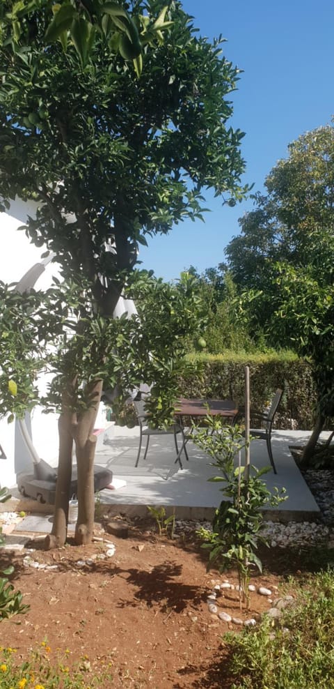 DOWNTOWN GARDEN Apartment in Dubrovnik-Neretva County